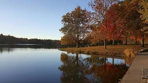 nearby Homer Lake Forest Preserve